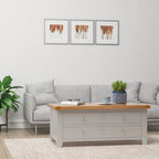 Cambridge Grey Painted Oak Storage Coffee Table